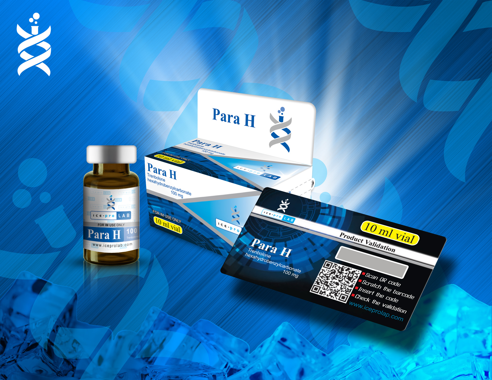 para-h100